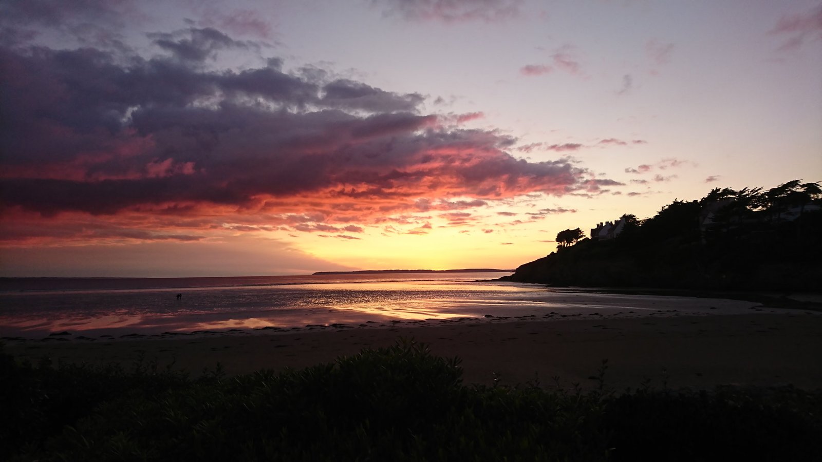 Index Of Wp Content Uploads 19 02